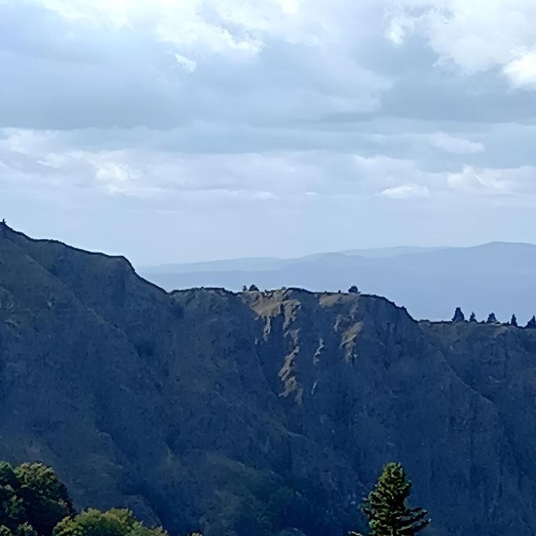 Kopaonik Heights N97 Spa and Wellnes - Apartman sa 1 Spavaćom Sobom - 35