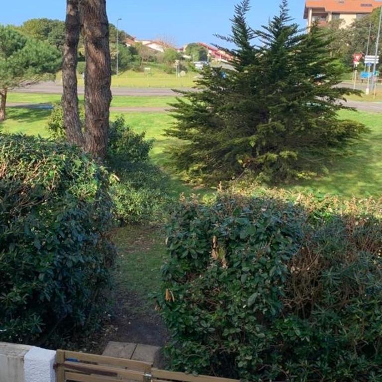 patio seignosse plage 6 couchages - One-Bedroom House - 16