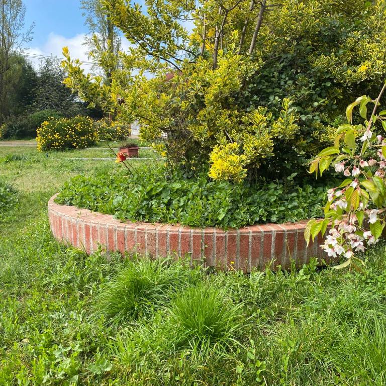 Casa en entorno natural - Two-Bedroom House - 22