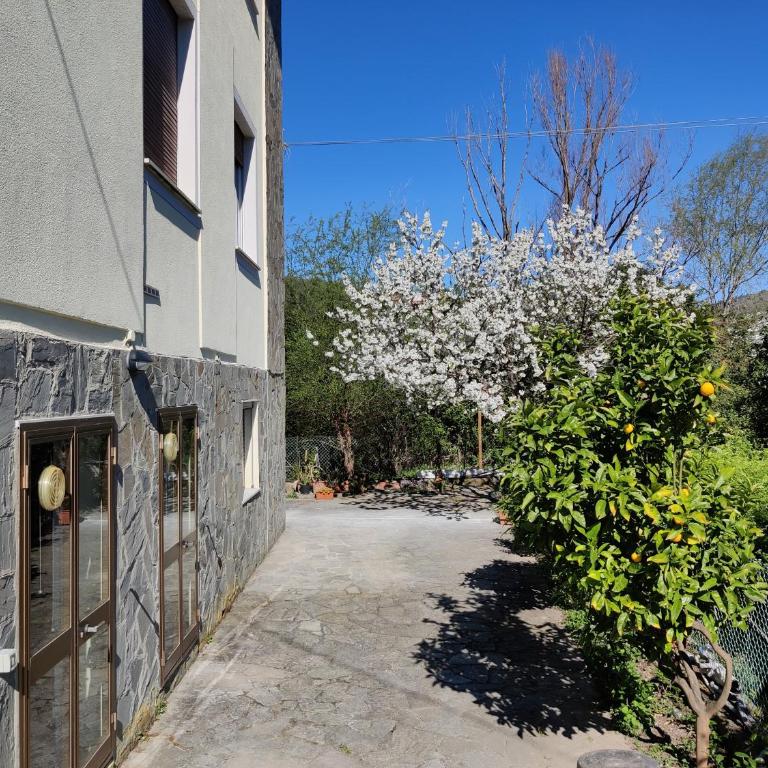 Centrale nel verde int 2 - Casa con 2 Camere da Letto - 4