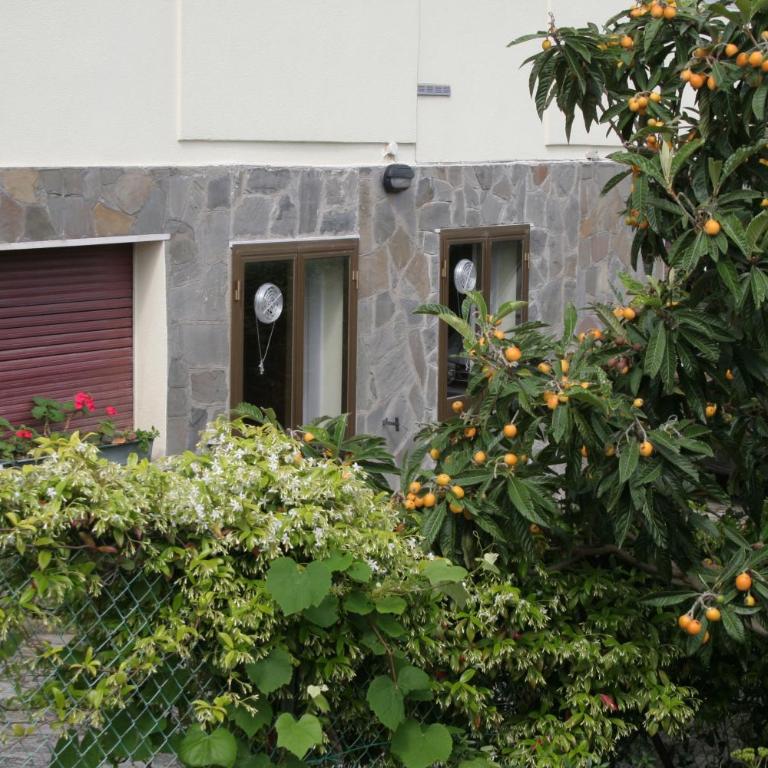Centrale nel verde int 2 - Casa con 2 Camere da Letto - 5