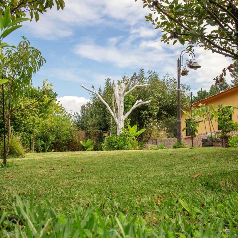 Casa Rural Pontevedra con piscinajardínbarbacoa - Four-Bedroom House - 78
