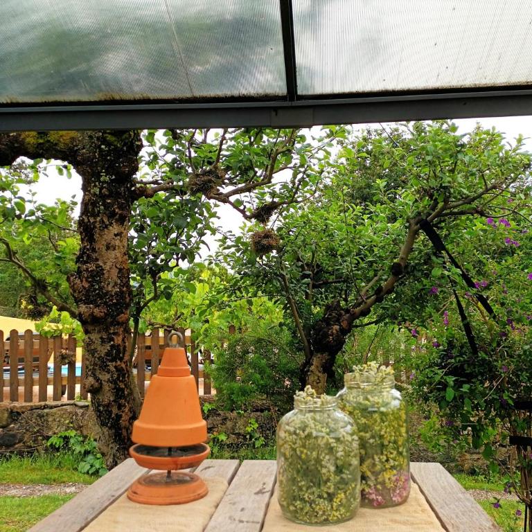 Casa Rural Pontevedra con piscinajardínbarbacoa - Four-Bedroom House - 80