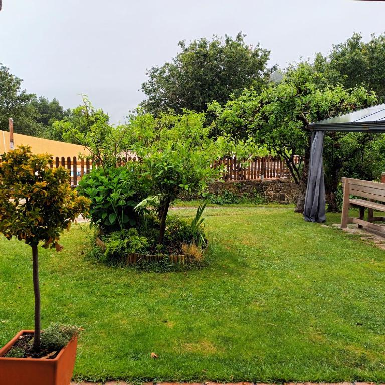 Casa Rural Pontevedra con piscinajardínbarbacoa - Four-Bedroom House - 43