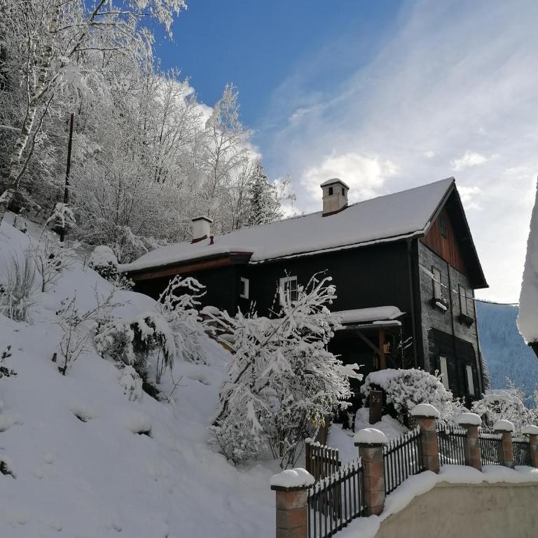 Waldhaus Klein-Veitsch, Auszeit im Grünen - Apartment mit 1 Schlafzimmer - 20
