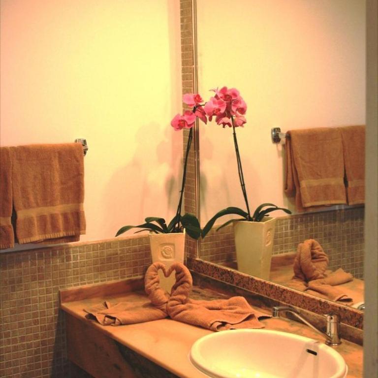 Apartamentos Matorral - Estudio - Planta Baja - 5