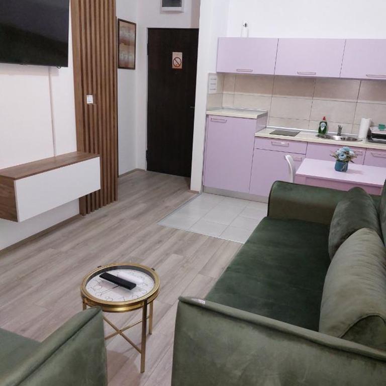De Lux Nedeljkovic - Apartman sa 1 Spavaćom Sobom - 85