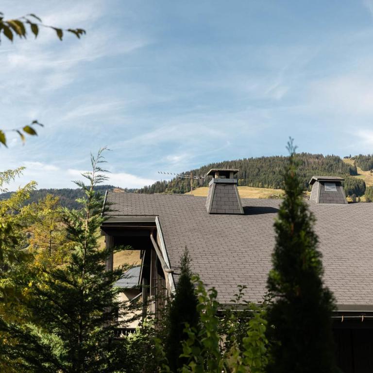 Appartement Uccelli - Cocoon just a stone's throw from the centre of Megève - Appartamento - 18