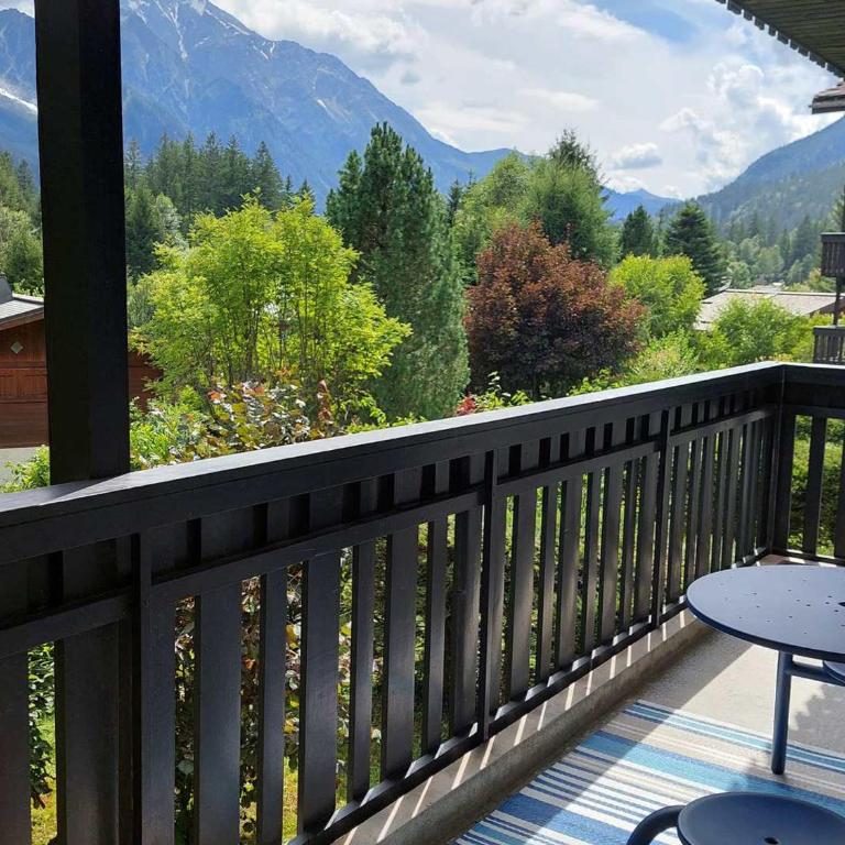 2 Pièces Vue Mont Blanc avec Balcon - Chamonix, Animaux acceptés - FR-1-517-19 - Appartement (4 Adultes) - 2