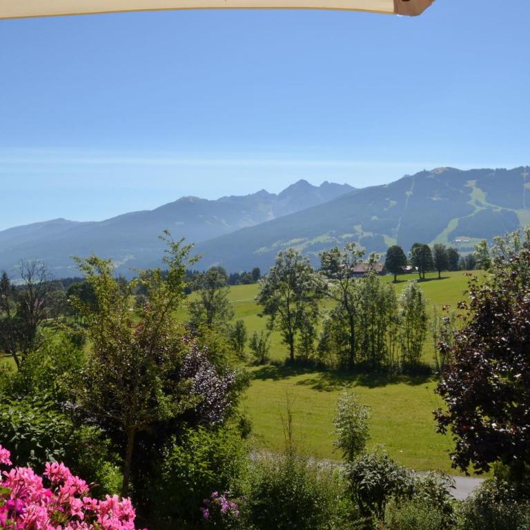 Hotel Ennstalerhof - Doppelzimmer mit Gartenblick - 4