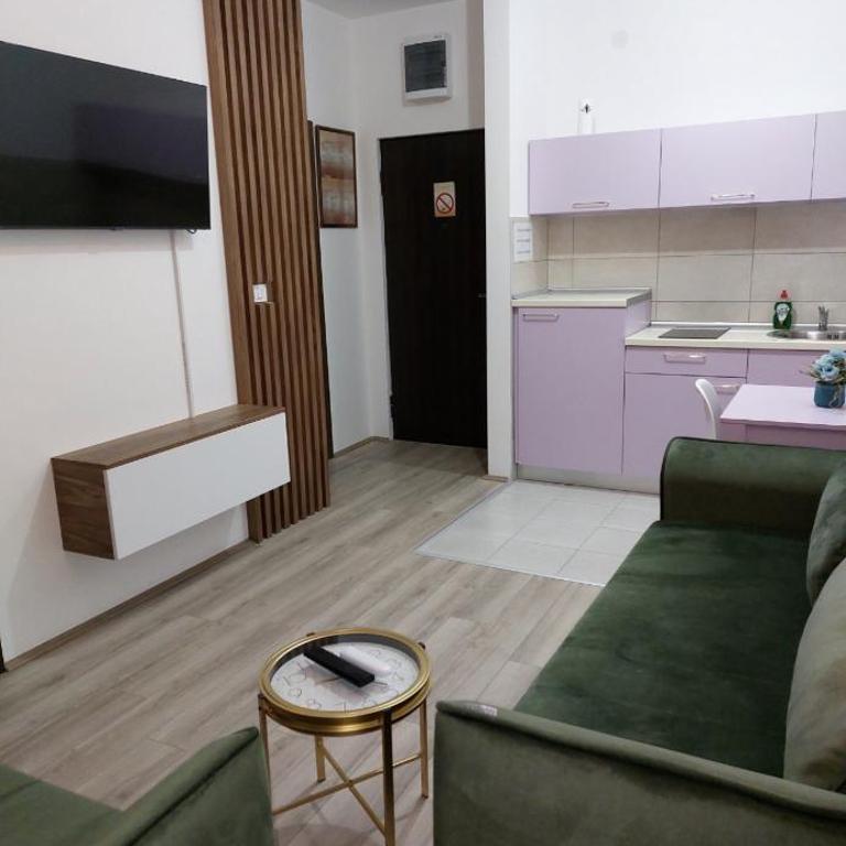 De Lux Nedeljkovic - Apartman sa 1 Spavaćom Sobom - 88