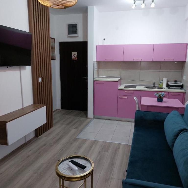 De Lux Nedeljkovic - Apartman sa 1 Spavaćom Sobom - 92