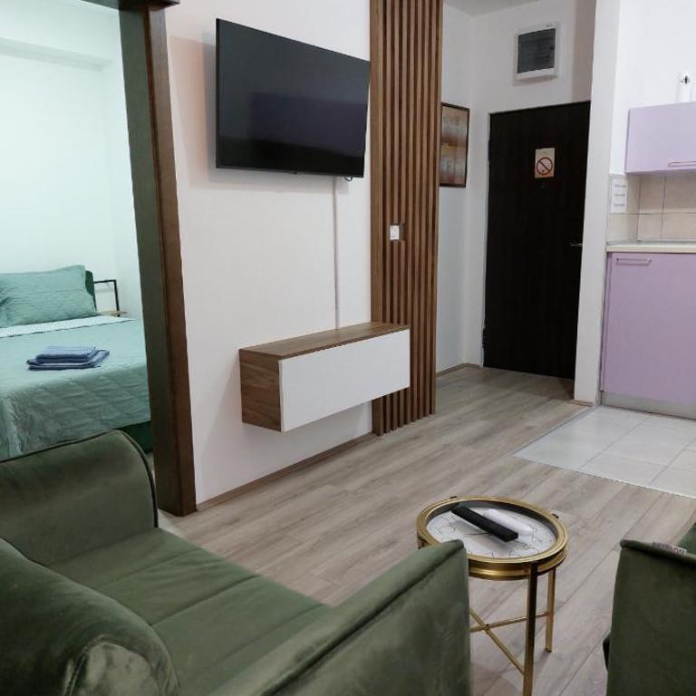 De Lux Nedeljkovic - Apartman sa 1 Spavaćom Sobom - 91