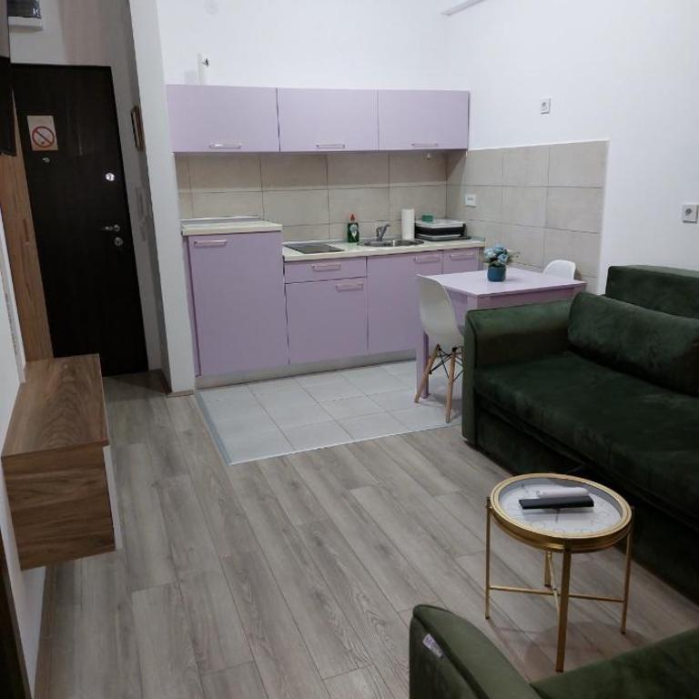 De Lux Nedeljkovic - Apartman sa 1 Spavaćom Sobom - 97