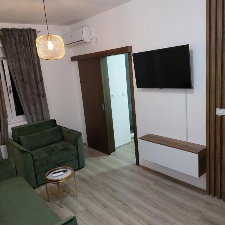 De Lux Nedeljkovic - Apartman sa 1 Spavaćom Sobom - 98