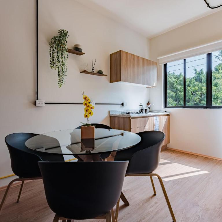 Mariano Escobedo Apartments by VH - Standard Suite - 24