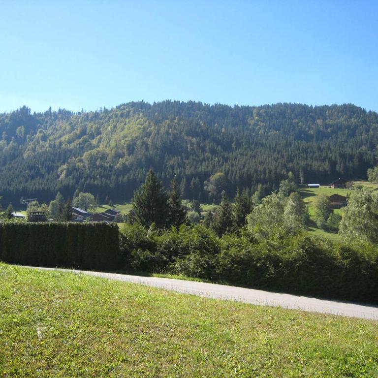 Charmant studio cabine avec terrasse et parking à La Clusaz - FR-1-459-120 - Studio - 7
