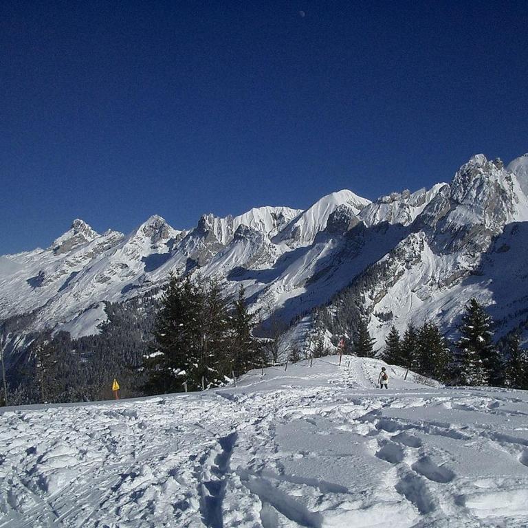 Charmant studio cabine avec terrasse et parking à La Clusaz - FR-1-459-120 - Studio - 9