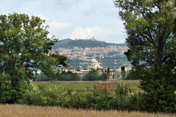 Agriturismo Bellarosa - Appartamento con 1 Camera da Letto - 15