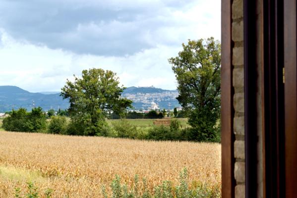 Agriturismo Bellarosa - Appartamento con 1 Camera da Letto - 17