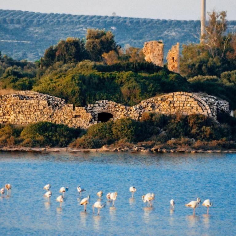 Porto Cesareo Residenze - Appartamento con 2 Camere da Letto - 38