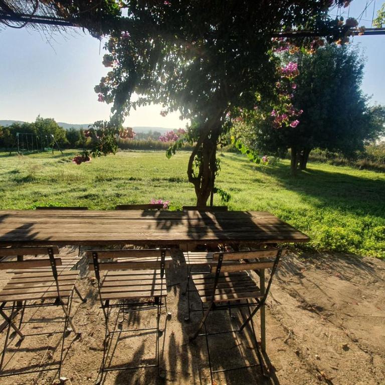 Domaine Limouzy - Maison 3 Chambres avec Jardin - 20