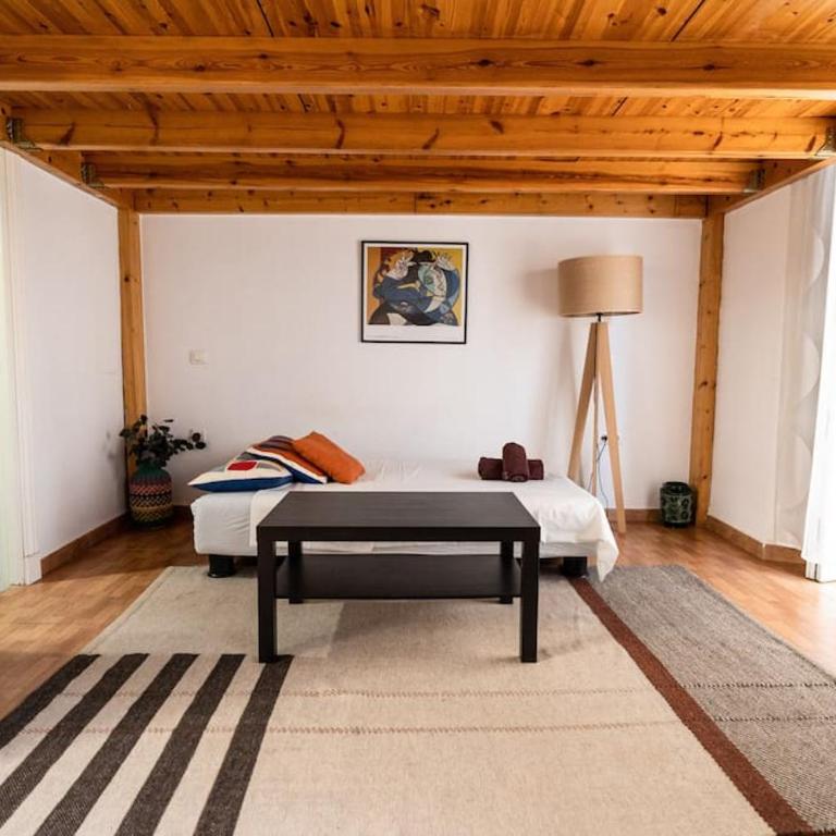 Shiny Alamos Super Family Studio - Apartamento de 1 dormitorio - 2
