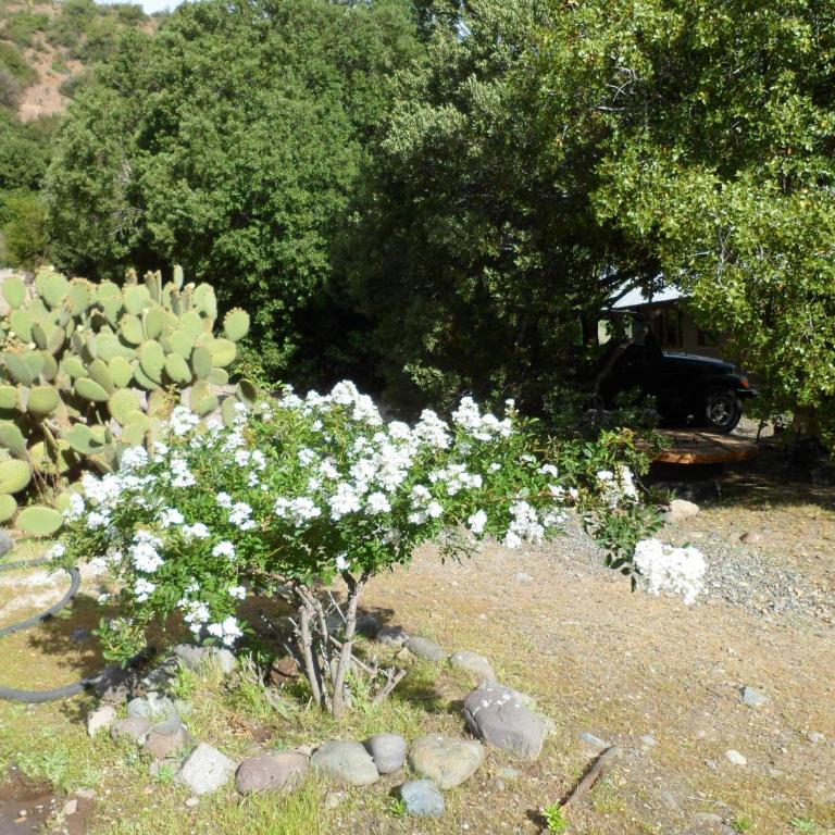 Cabañas de montaña - One-Bedroom House - 38