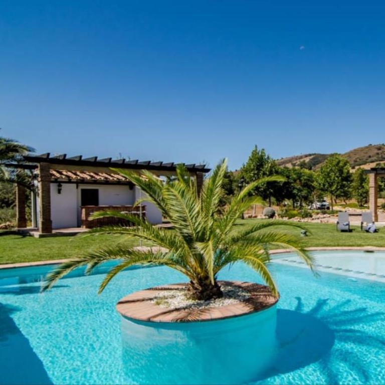 Villa El Arroyo Ronda - Villa Deluxe - 10