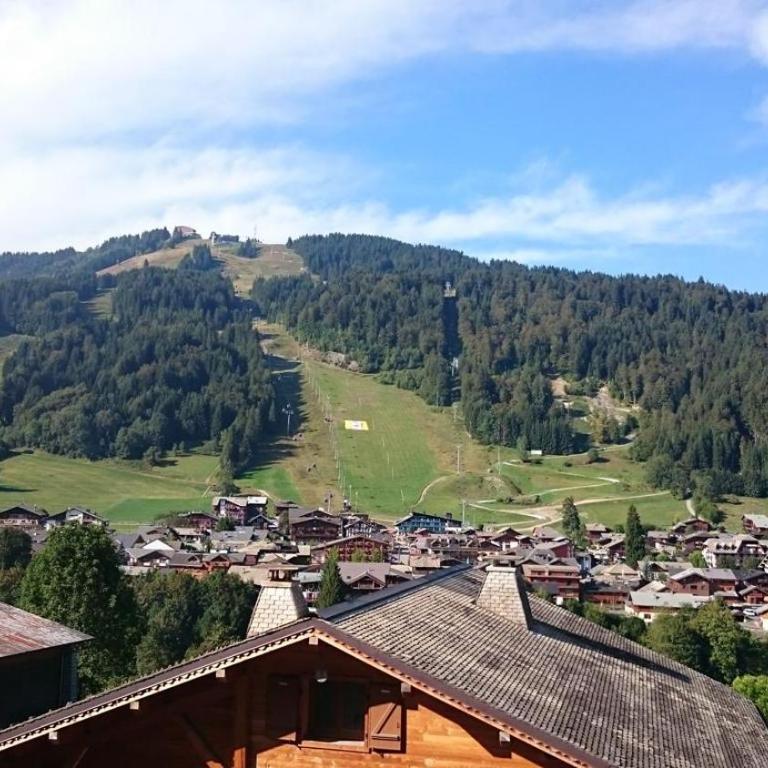 13-Beds with Sauna - Morzine - Easy walk to Centre - Chalet Supérieur - 16