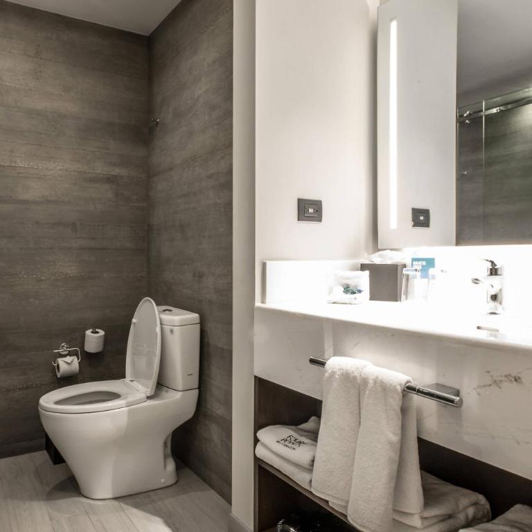 Four Points by Sheraton Puebla - Traditional, Guest room, 1 King, City view - 3