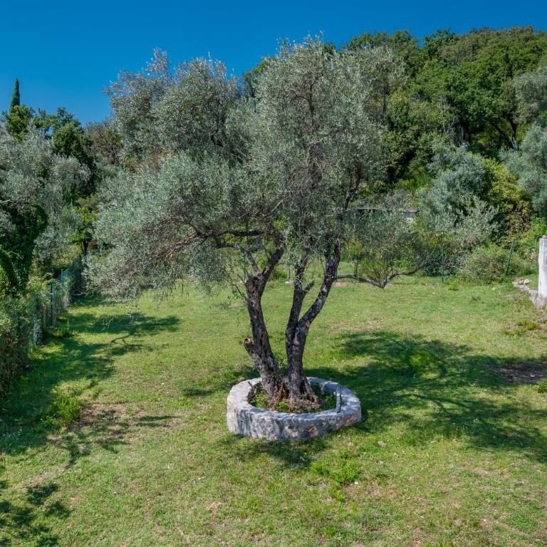 Olive Hills - Apartman sa 2 Spavaće Sobe - 35