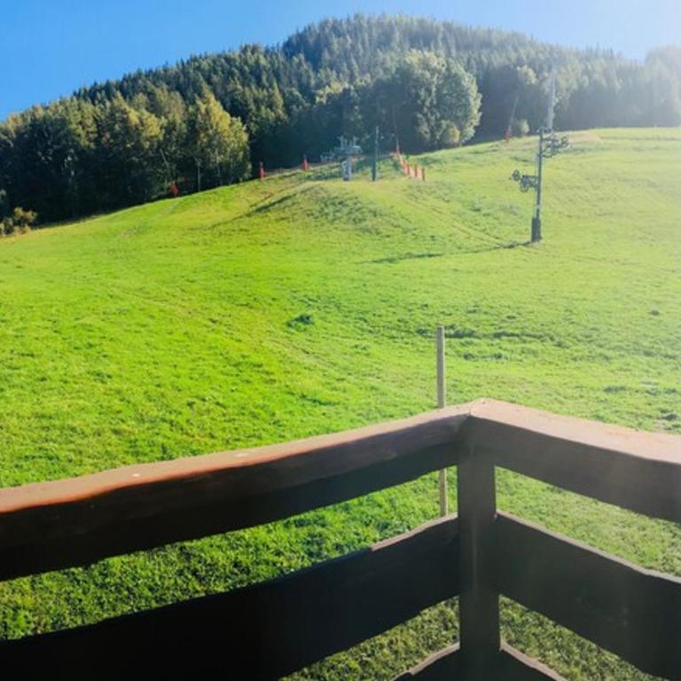 Appartement lumineux avec accès direct aux pistes et cabine à La Plagne - FR-1-181-2477 - Appartement - 9