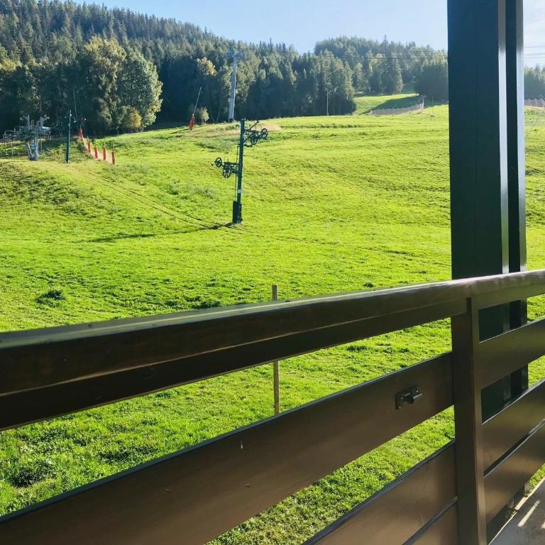 Appartement lumineux avec accès direct aux pistes et cabine à La Plagne - FR-1-181-2477 - Appartement - 10