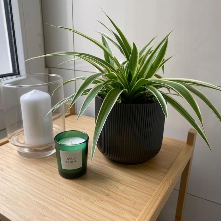 Modernes Studio, zentral - Apartment mit 1 Schlafzimmer - 5