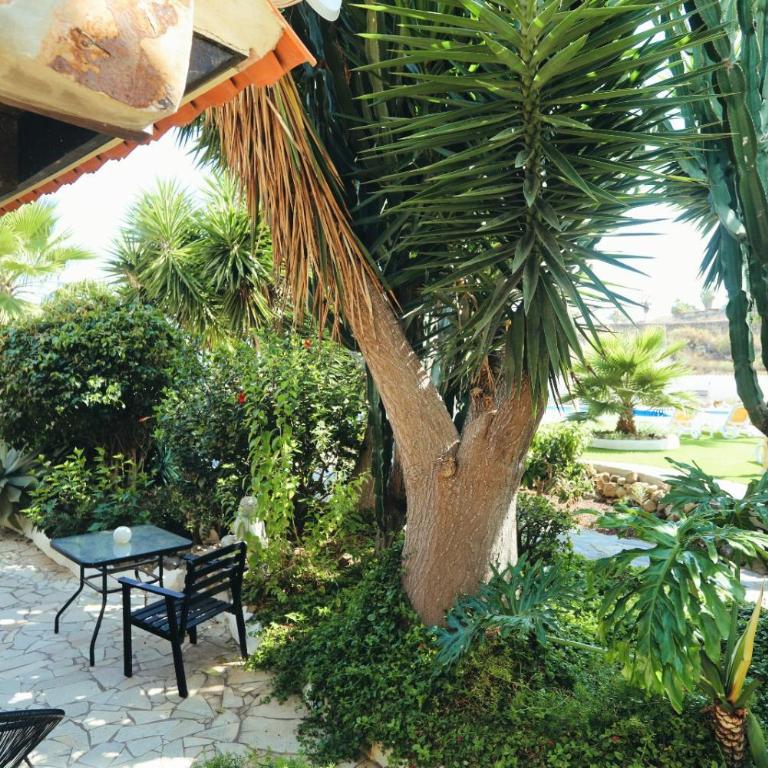 Finca Vino Tinto 4 - Apartamento de 1 dormitorio - 19