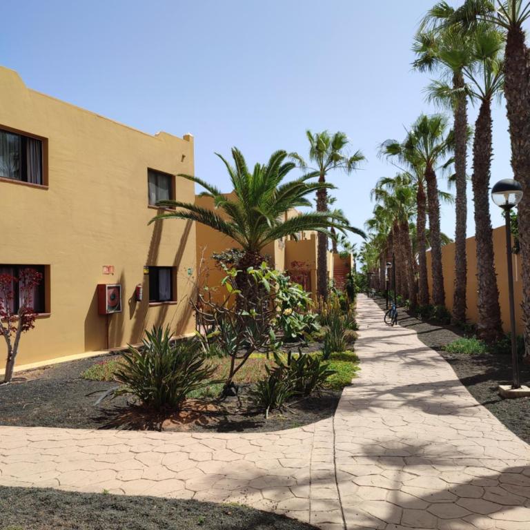 Casa Papagayo - Apartamento de 1 dormitorio - 25