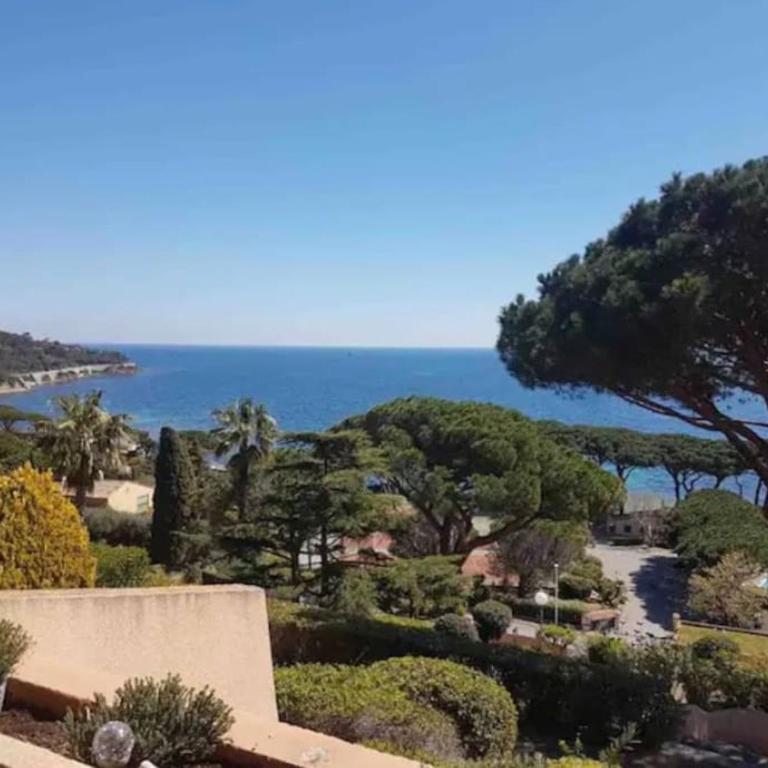 Magnifique vue mer, la madrague. - Apartment mit 1 Schlafzimmer - 1