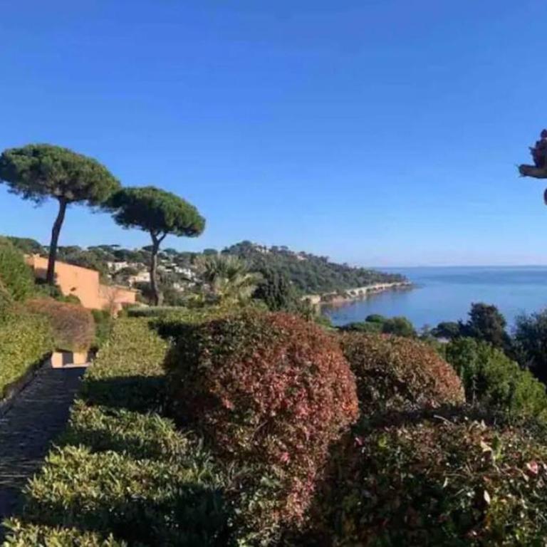Magnifique vue mer, la madrague. - Apartment mit 1 Schlafzimmer - 8