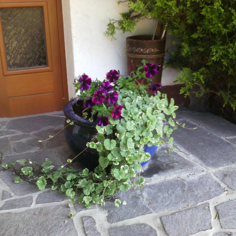 Appartements Zankl - Apartment mit 3 Schlafzimmern - 18