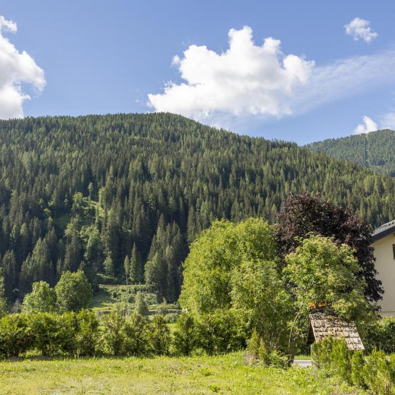 Alpen family apartment Bergfreunde near skilift and golf course - Apartment mit 2 Schlafzimmern - 24