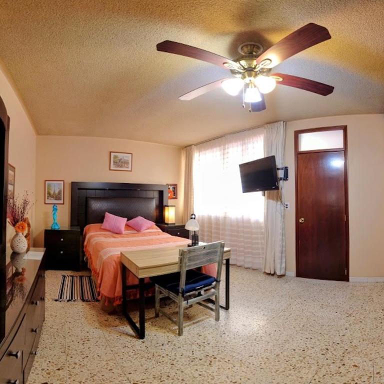 Casa de las Palmas Guest House - Standard Double Room - 10