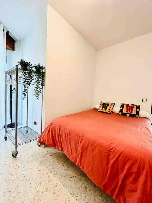 GreenHouse, casco Histórico de Málaga - Apartamento de 2 dormitorios - 11