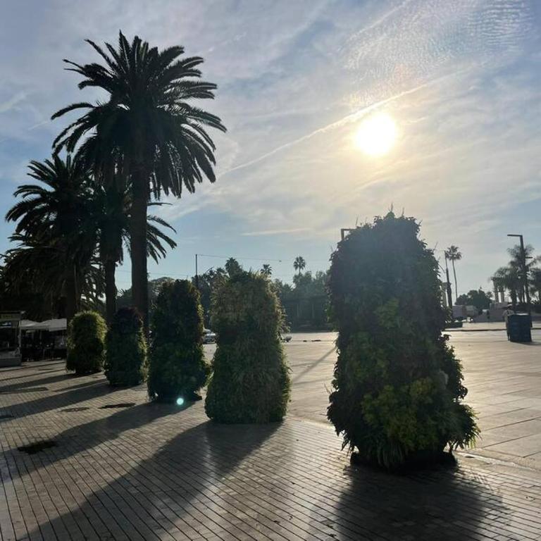 GreenHouse, casco Histórico de Málaga - Apartamento de 2 dormitorios - 27