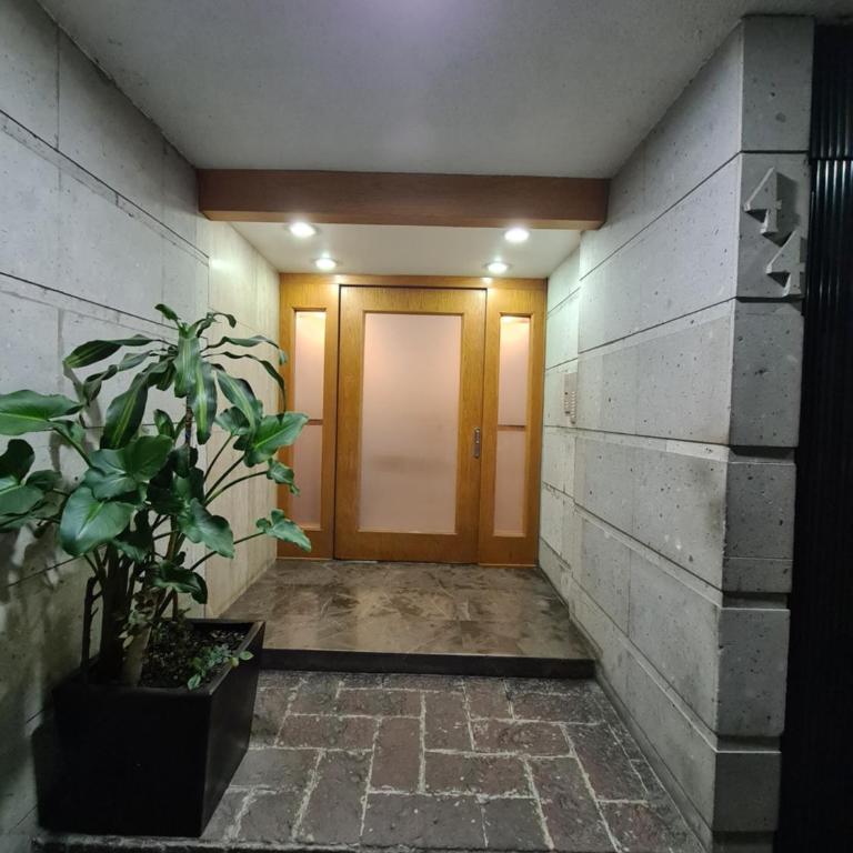 Depa Anzures 2 Cuartos Excelente ubicación - Apartamento de 2 dormitorios - 4