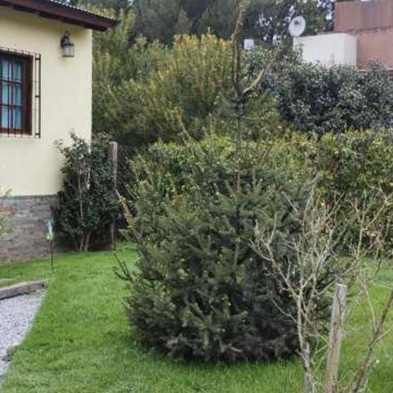 iñ puñen - Casa de 2 dormitorios - 13