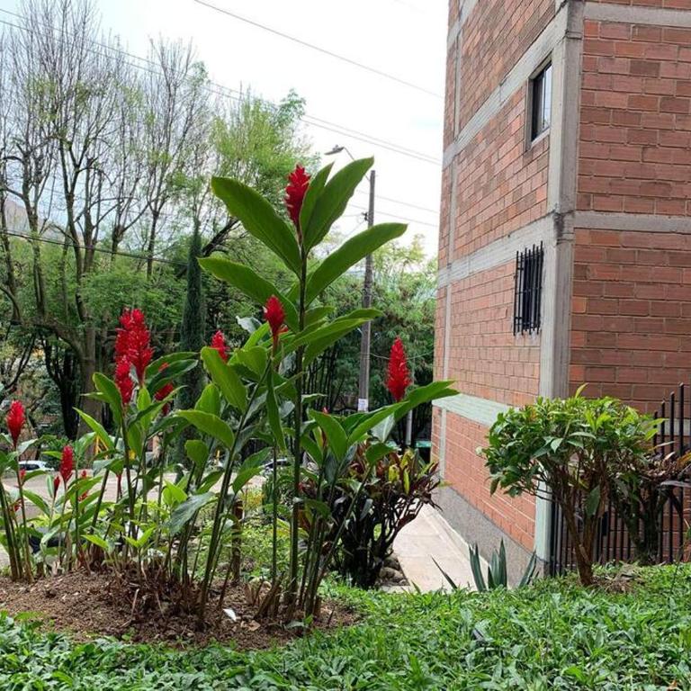 Acogedor Apartamento Urbanización Tricentenario - Apartamento de 2 dormitorios - 4