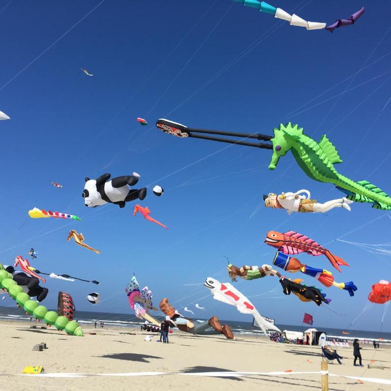 PIERRE - Cocon familial pour 6 pers dans l'hypercentre de Berck-Plage - Apartment mit 2 Schlafzimmern - 29