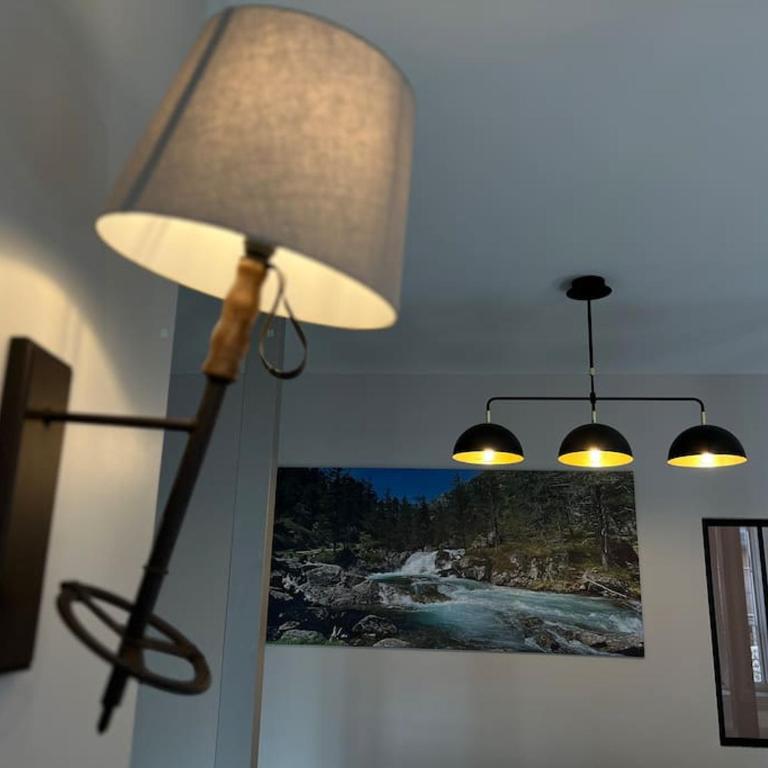Joli T3 rénové ds une villa 1900 - Appartement 2 Chambres - 4