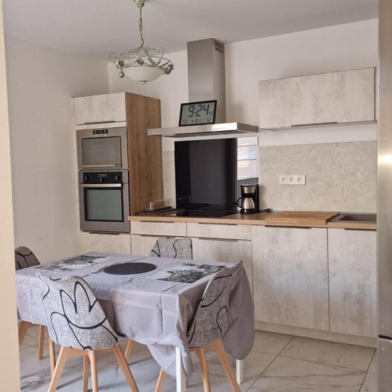 Spacieux, lumineux, chic ,60m2 au coeur du Lyon 6ème -Quartier Foch- avec grand balcon - Apartment mit 1 Schlafzimmer - 10